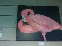 华体会官方-亚眠与圣埃狭路相逢，收获平局的简单介绍