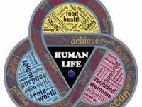 华体会链接-利物浦新援适应良好，世俱杯表现备受期待