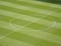 华体会官网-帕尔梅拉斯中场控制加强，争取比赛主动权