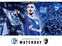 华体会官网-沙尔克04客场击败弗赖堡，豪取3分的简单介绍