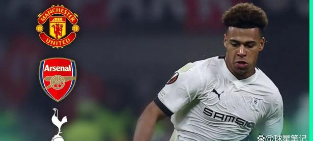 华体会中国官网-热刺双星受伤，球队遭遇伤病危机